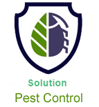 Natural Herbal Pest Control